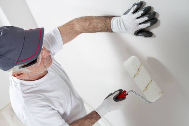 Best Post-Construction Mold Inspection  in Bingham Farms, MI