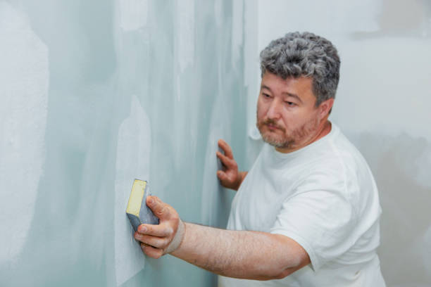 Best Forensic Mold Investigation  in Bingham Farms, MI