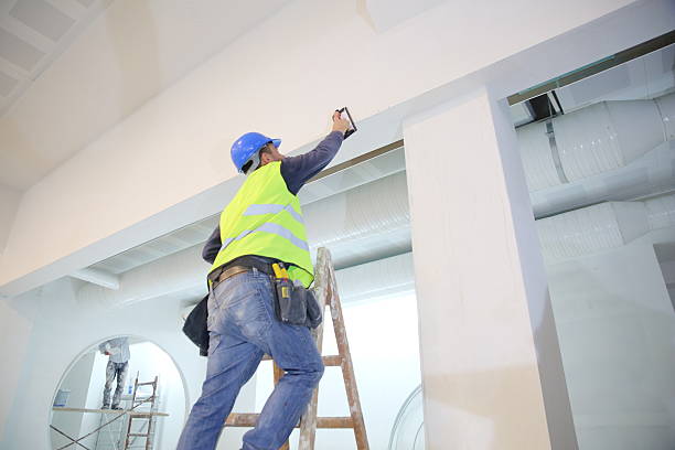 Best Water Damage & Mold Remediation  in Bingham Farms, MI